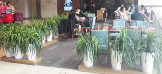 �����̻�ֲ������